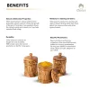 Handcrafted Olive Wood Coffee, Tea & Sugar Canister Set for Coffee Bars & Coffee Stations